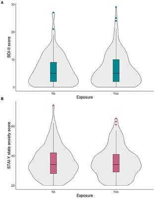 Depression and Anxiety in Mothers Who Were Pregnant During the COVID-19 Outbreak in Northern Italy: The Role of Pandemic-Related Emotional Stress and Perceived Social Support